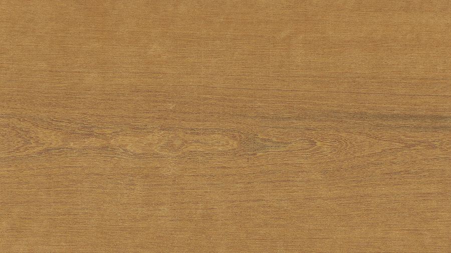 goiabao-pouteria_pachycarpa_pires