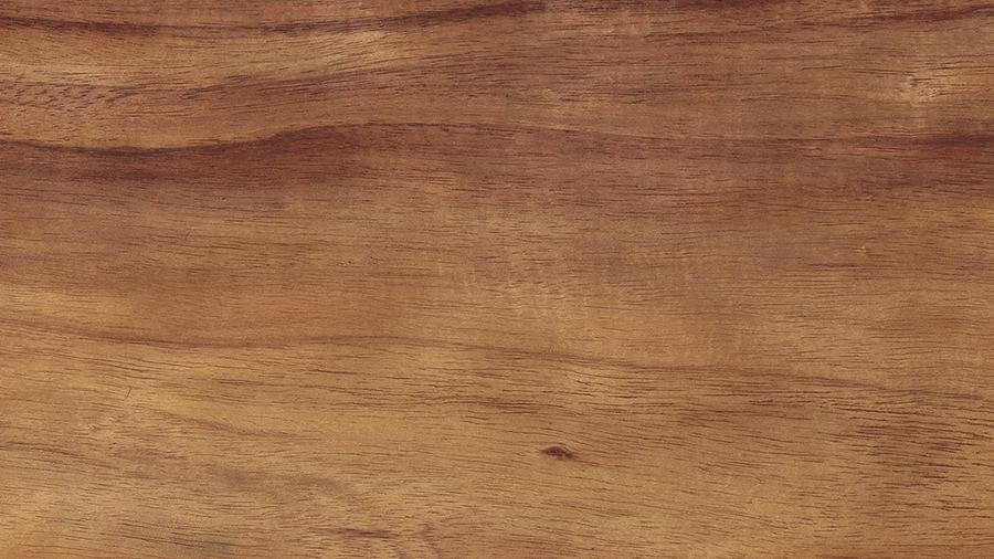 koa-acacia_koa