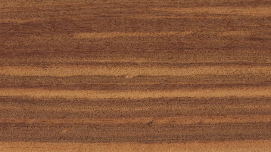 tigerwood_muirakatiara-astronium_lecointei